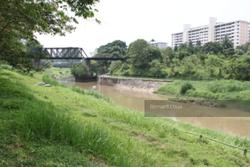Freesia Woods (D21), Condominium #139743972